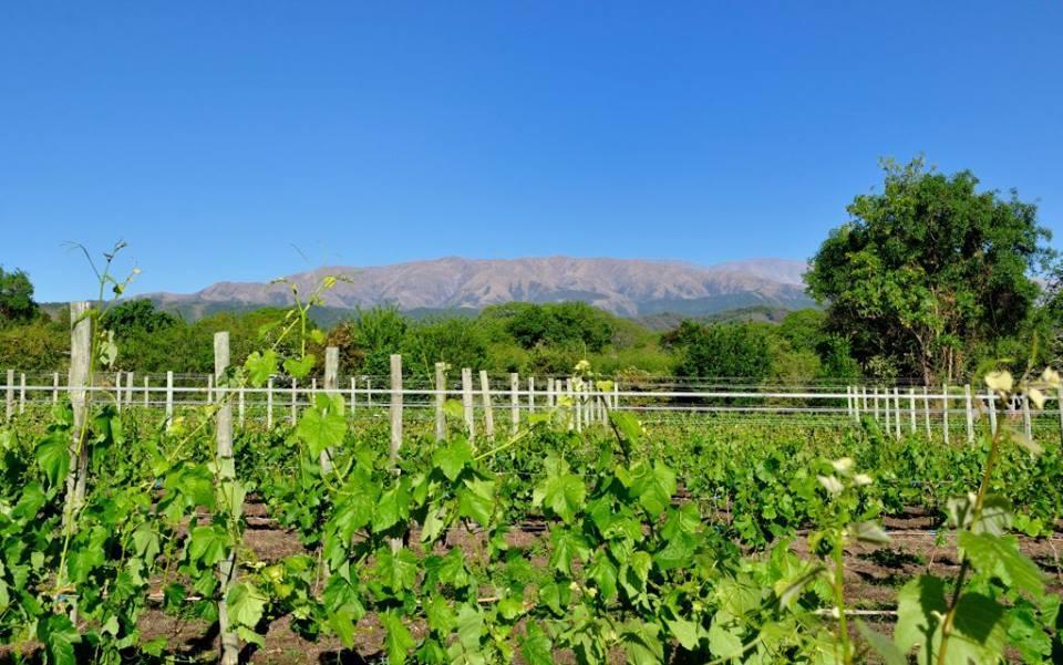Finca Cielo Verde Chicoana Exteriör bild